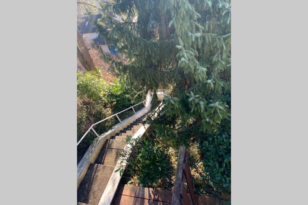 Ferienwohnung Carmen Im Schoenen Lahr Lahr  Esterno foto